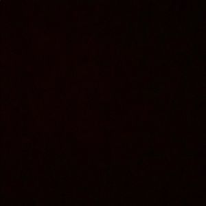 Meet your Posher, Presley